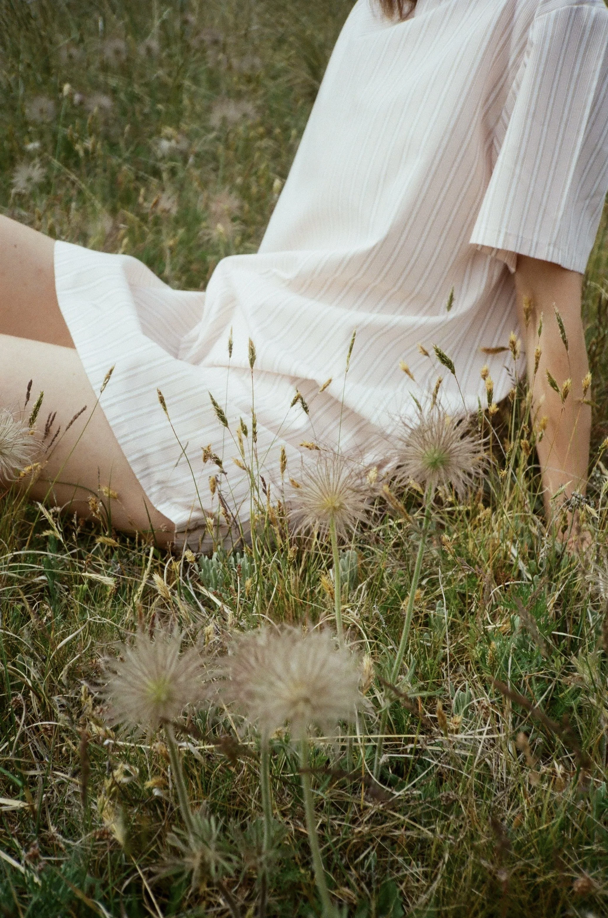 Summer Cotton