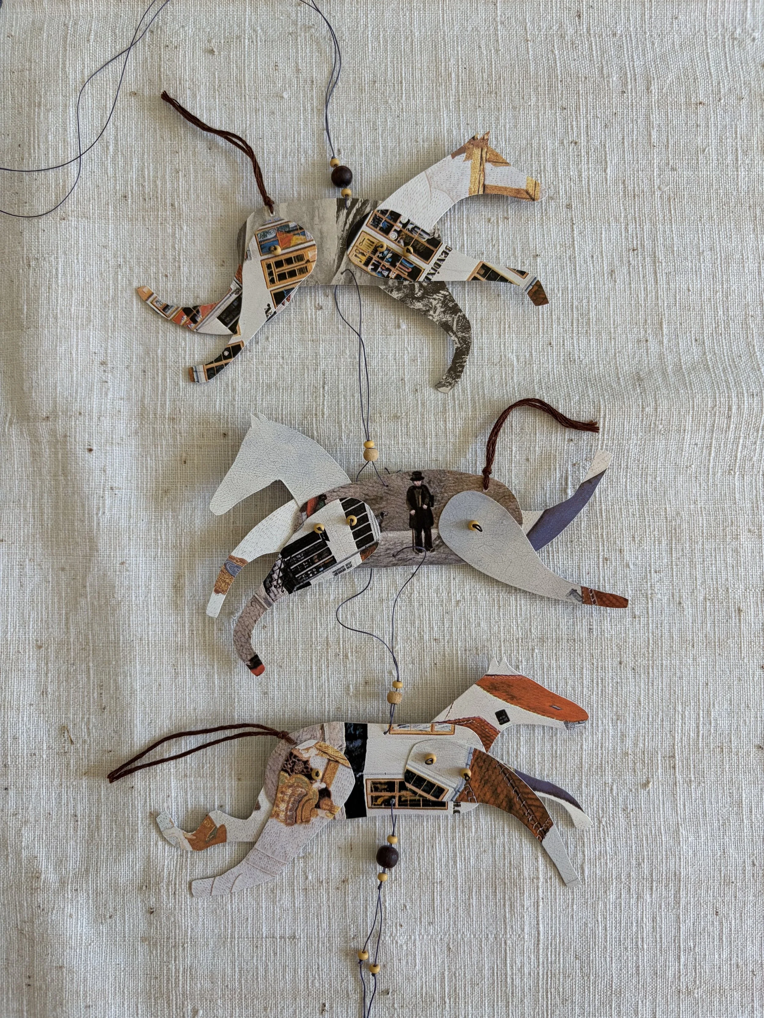 IMG_5321.jpeg