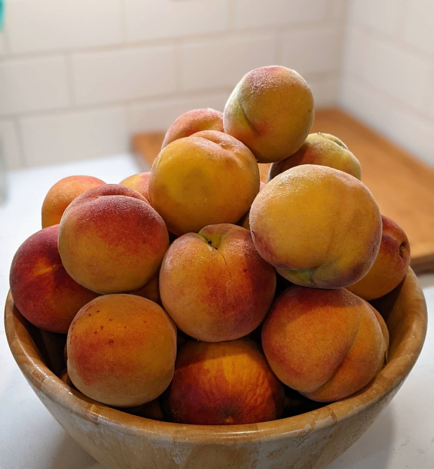 We've got peaches, yes we do! 🎉 
Now I just need some new peach recipes! 😅
.
.
.
#peachtree 
#growyourownfruit 
#backyardgardening