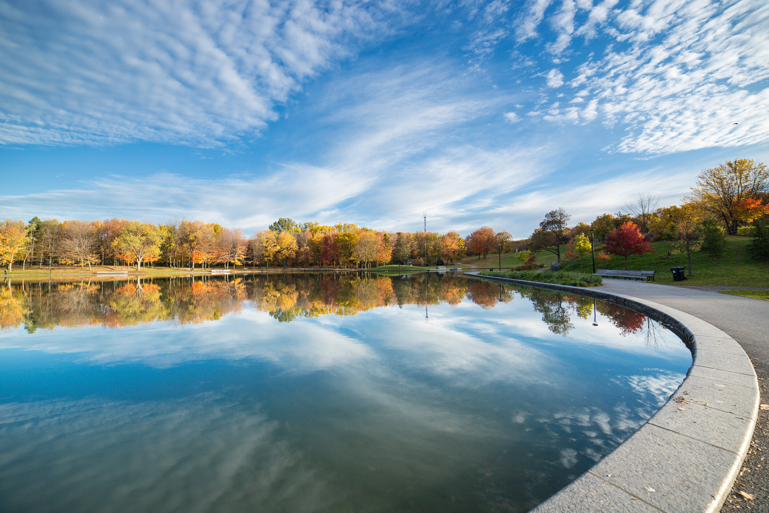 20191020231- Autumn 2019.jpg