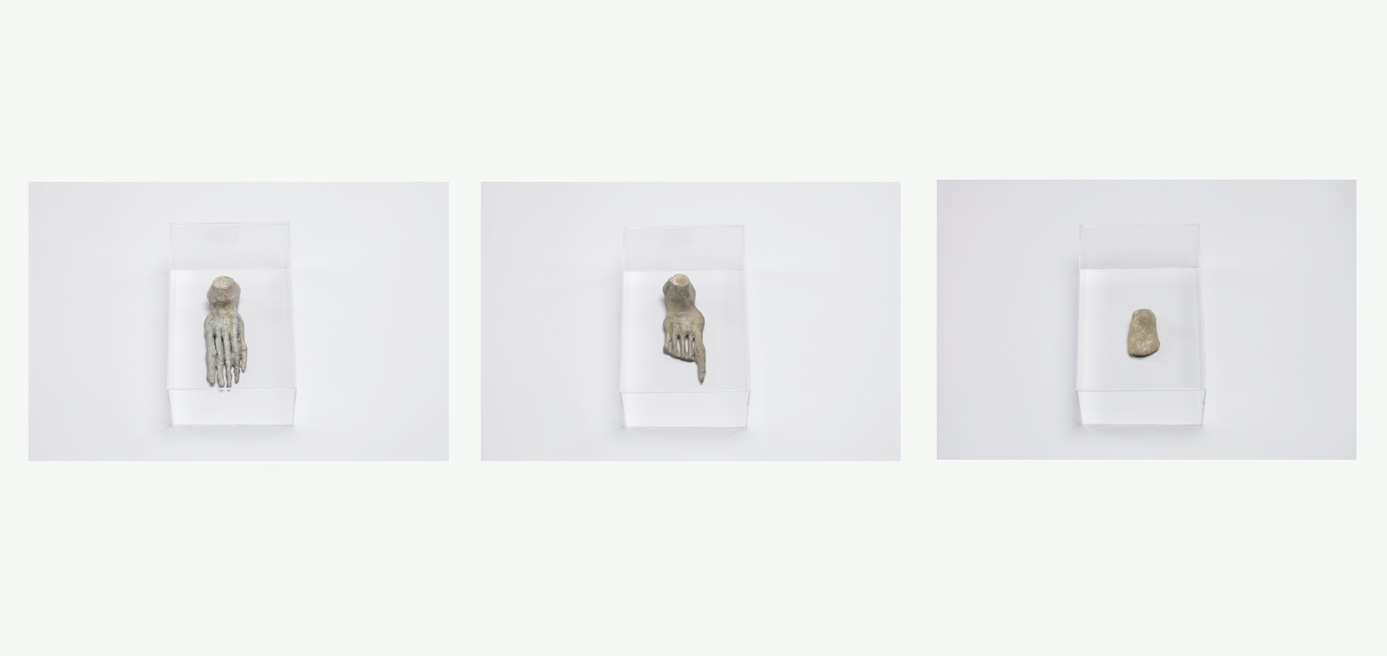 Human, Crubman & Technomanus foot.