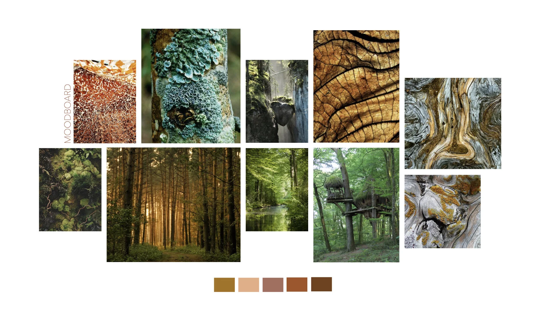 Forest moodboard.002.jpeg