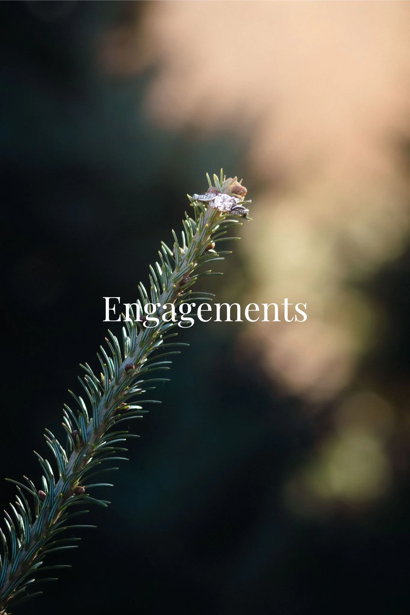 Engagement.jpg