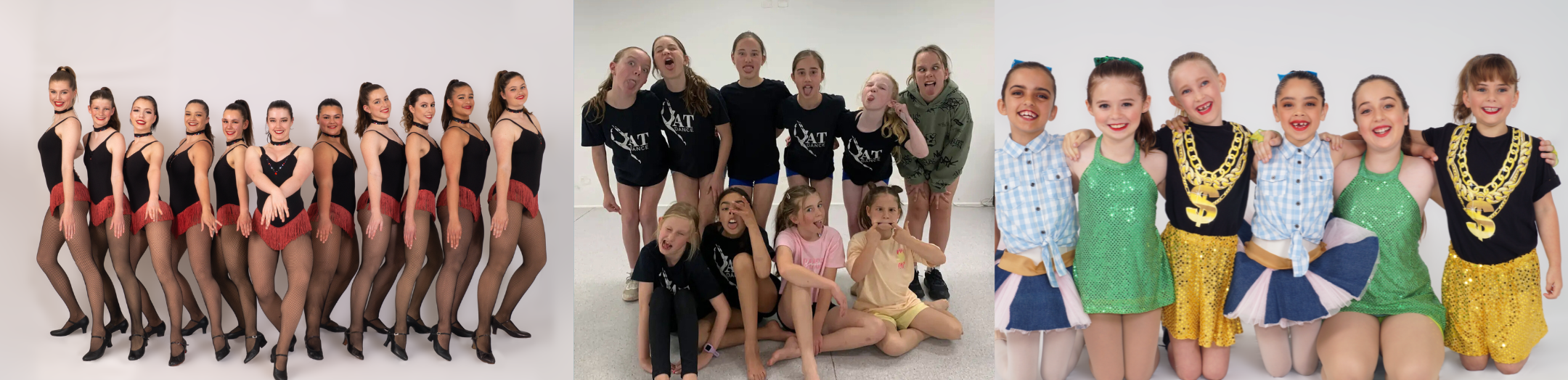 Adult's dance classes (1).png