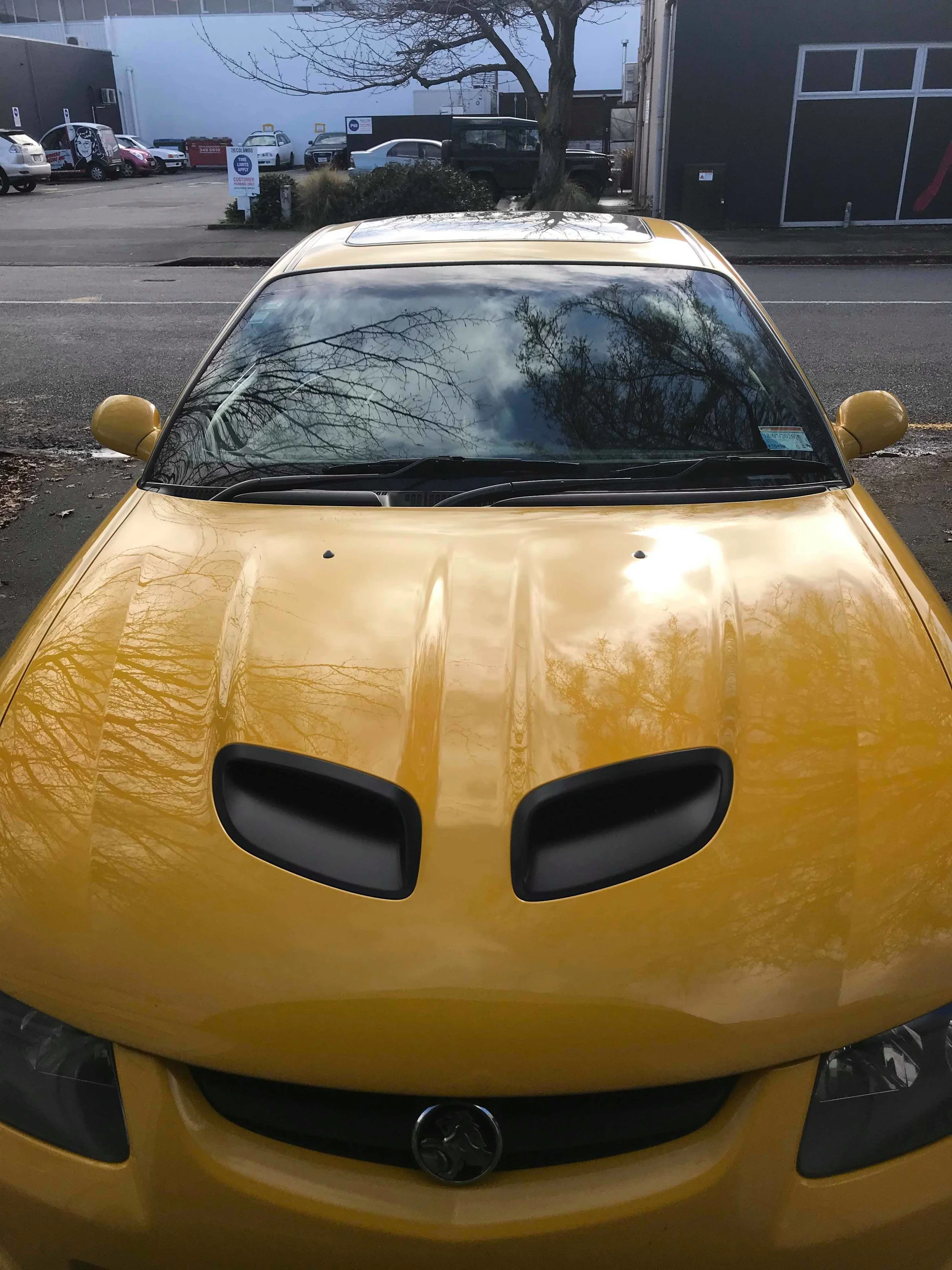 car performance tuning chch.jpg