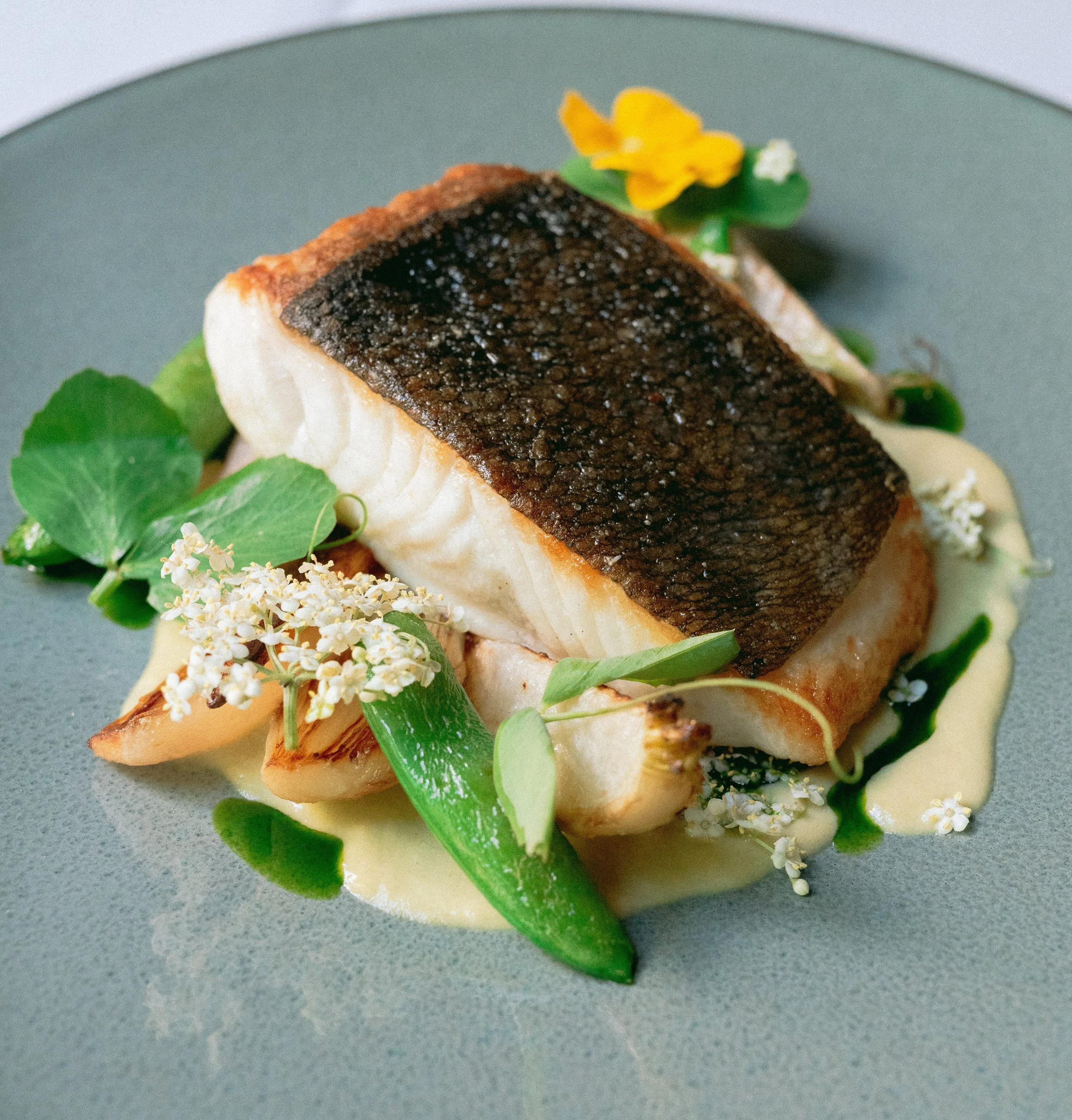 Mucca Osteria