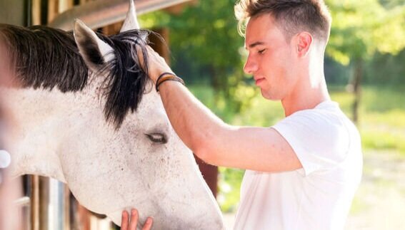 Equine Facilitated Leadership for Tweens and Teens — EquusLibere