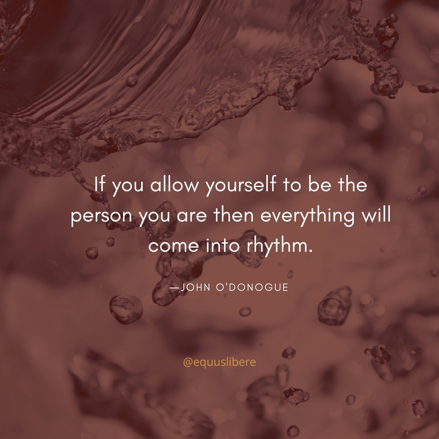 If you allow yourself to be the person you are then everything will come into rhythm.
-John O'Donohue
.
.
.
#quotesoftheday #selfmotivation #inspirationalquotes #quotesdaily #inspired #somatics #wanderer #healing #healingtrauma #wellness #equineleade