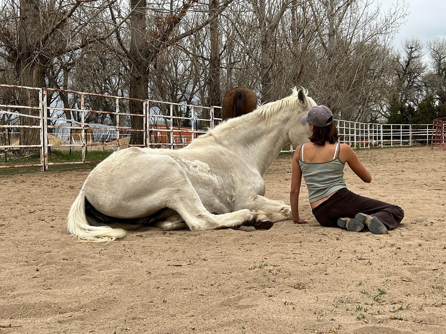Beauty. Teens. Elder horses. All Teachers. The whole of us students to softening, to rest. To love.
These moments of learning new patterns in the nervous system, body, and heart. Gratitude for youth sessions. #bridgingunicorns #lifeasart #youthleader