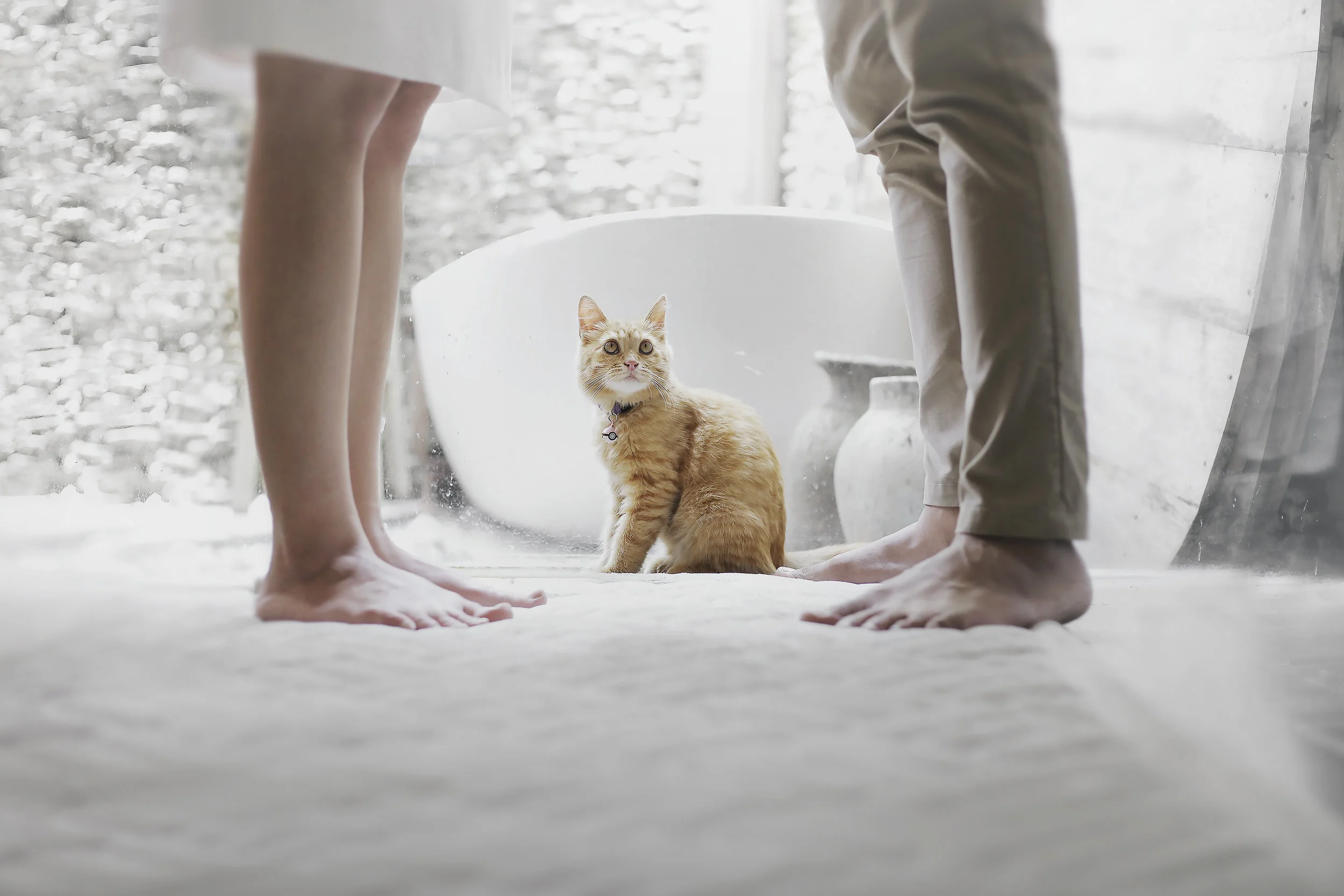 Selling the House During Divorce or Separation | Tips for a Smooth Transition