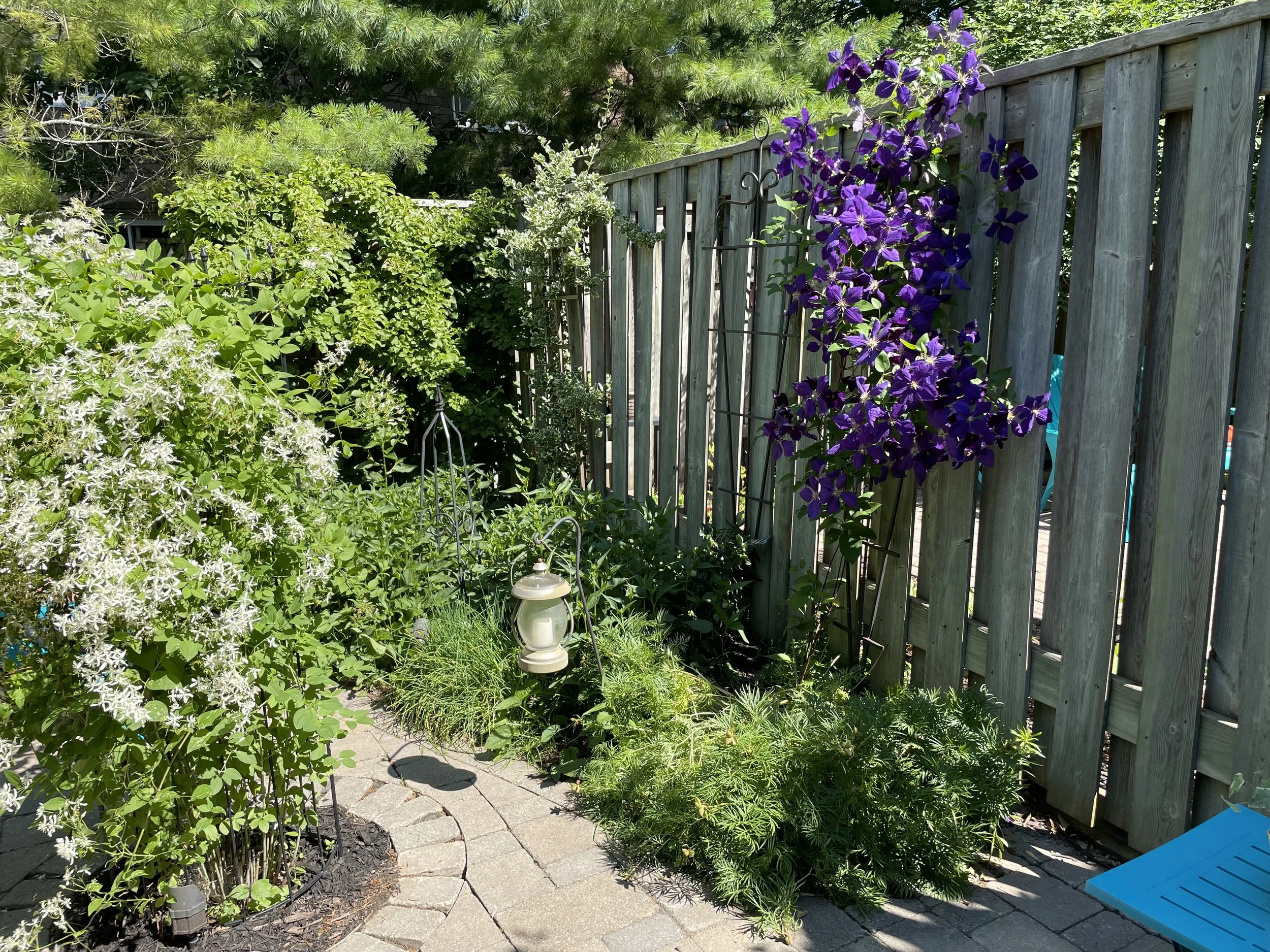 383 Edinburgh Rd SGuelph, ON N1G 2K7 (4).jpeg