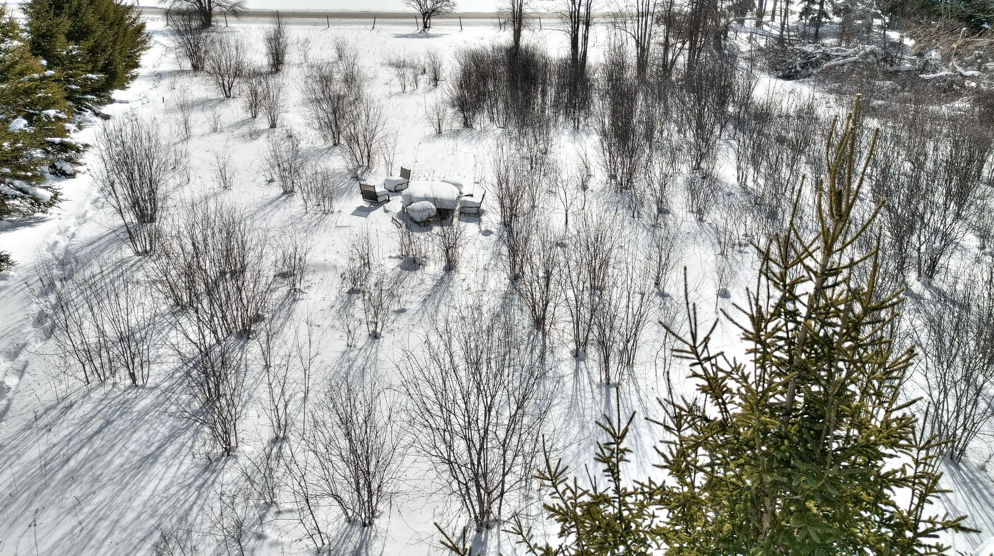 GuelphEramosa Custom Estate Country Building Lot for Sale  7524 WELLINGTON Road, GuelphEramosa (13).jpg