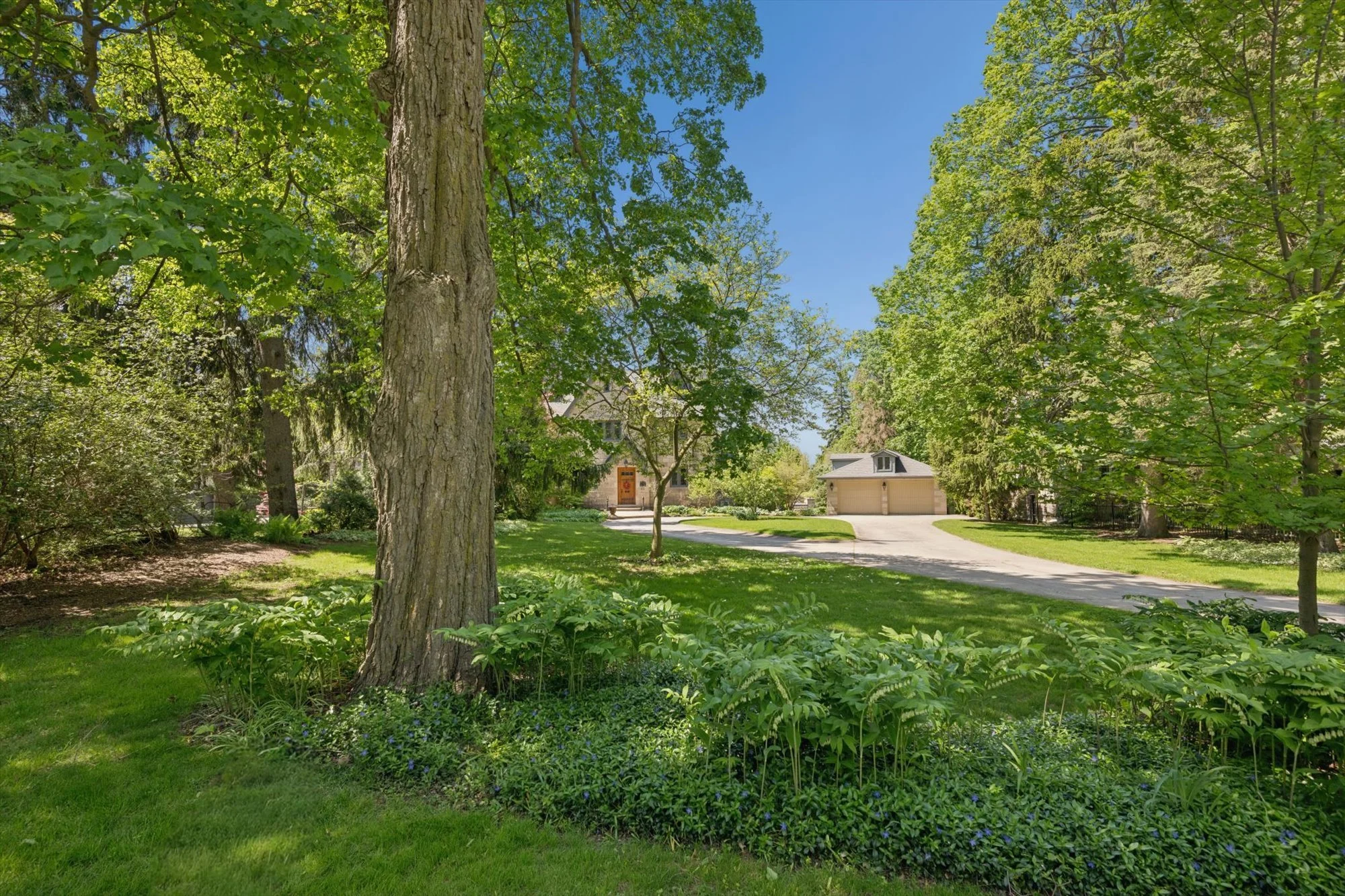 22 Stuart Street, Guelph ON Ker Cavan Summer Exterior.jpg