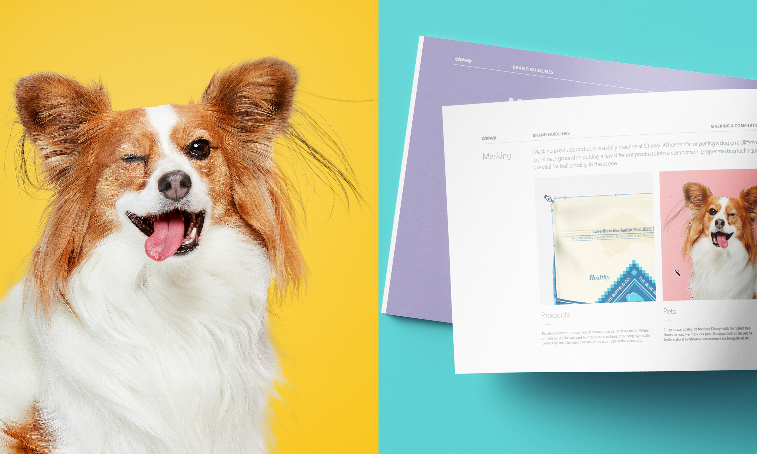 self loading dog ball thrower