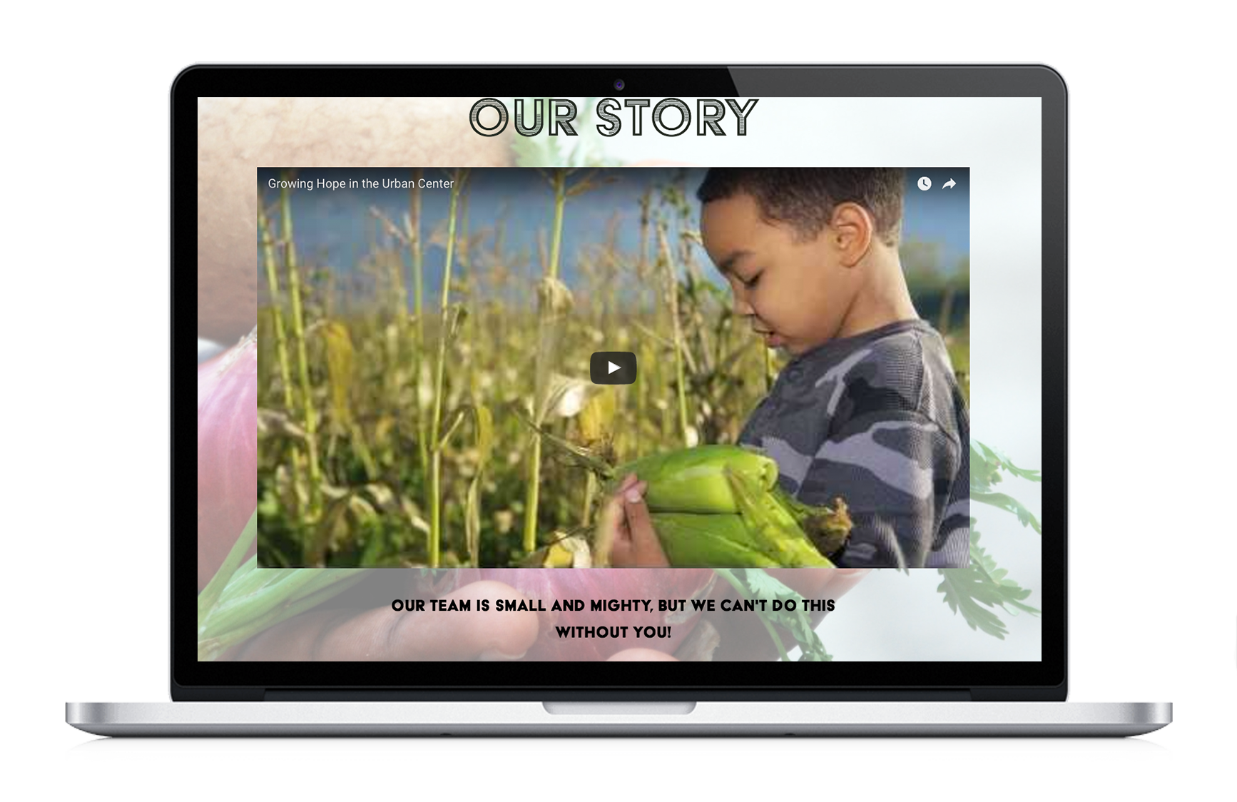 Clean Greens_Website 05.png
