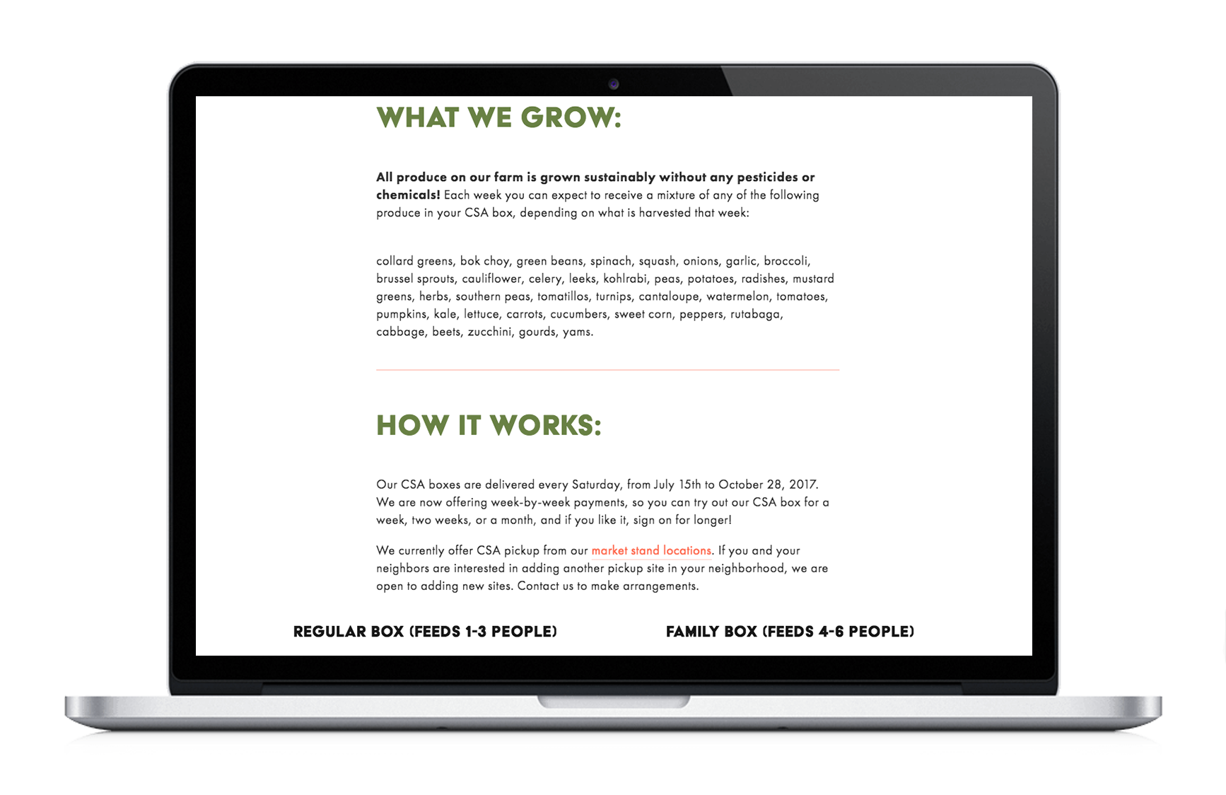 Clean Greens_Website 07.png