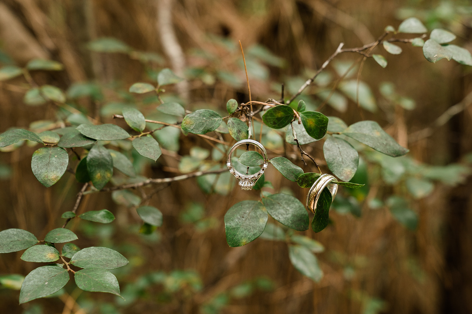 _DSC6843.jpg