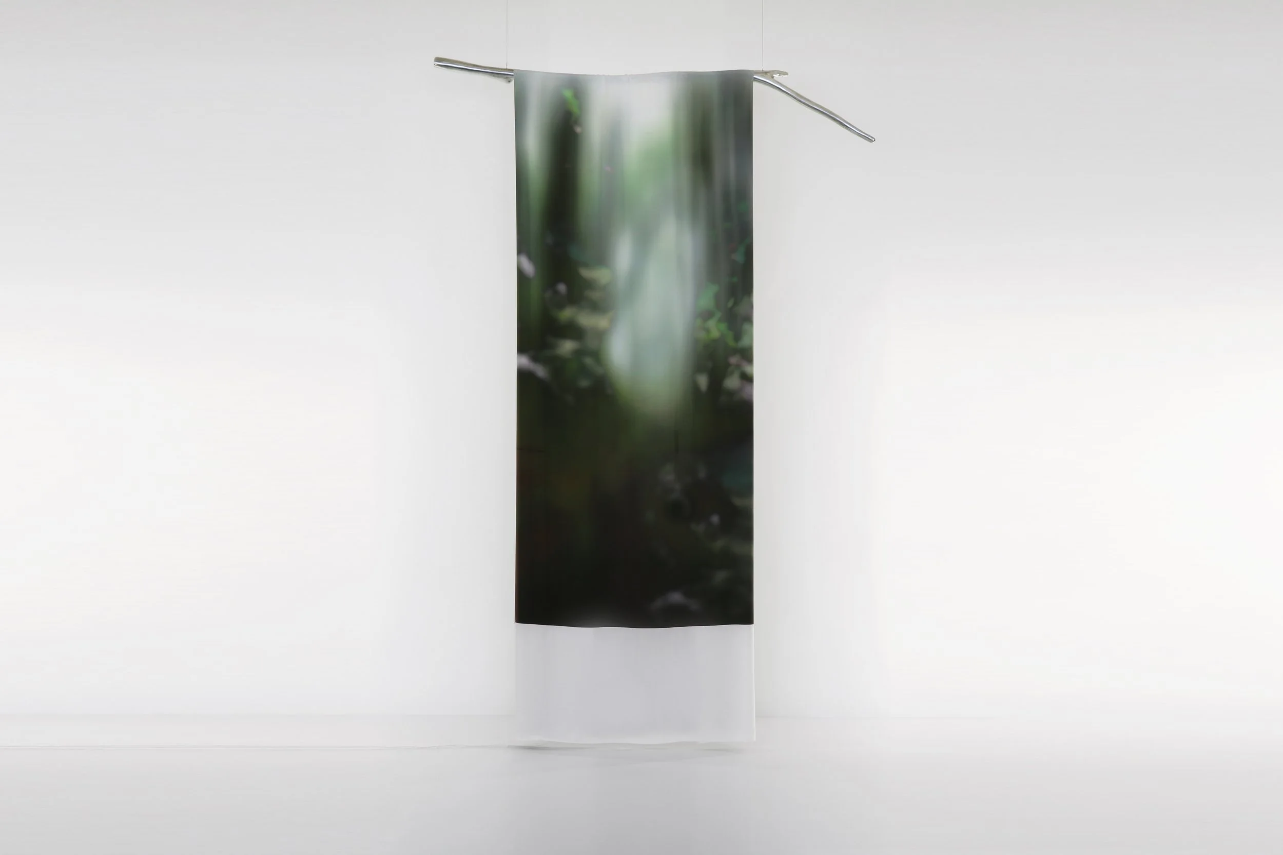 Longing for the Company of Trees - 2022