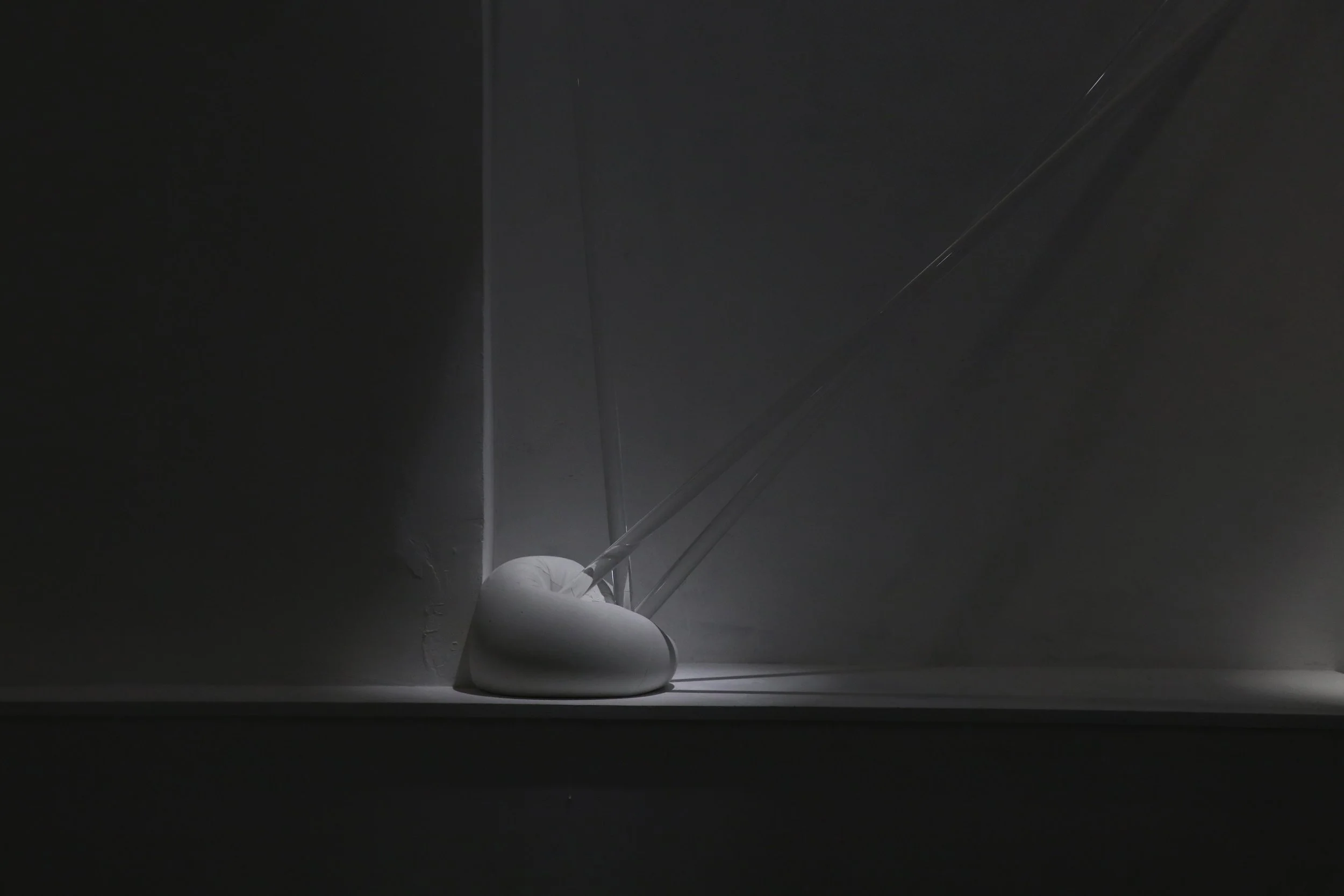 Soft Bodies Hard Lines - 2021