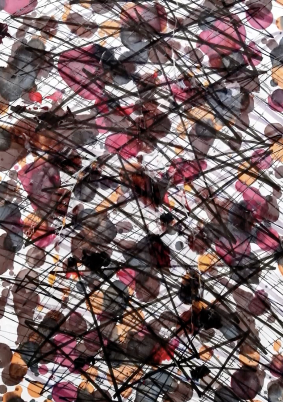 Screenshot 2026-01-26 at 9.08.54 am.png