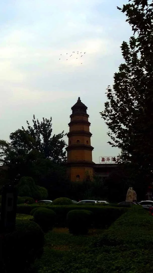 114.jpg