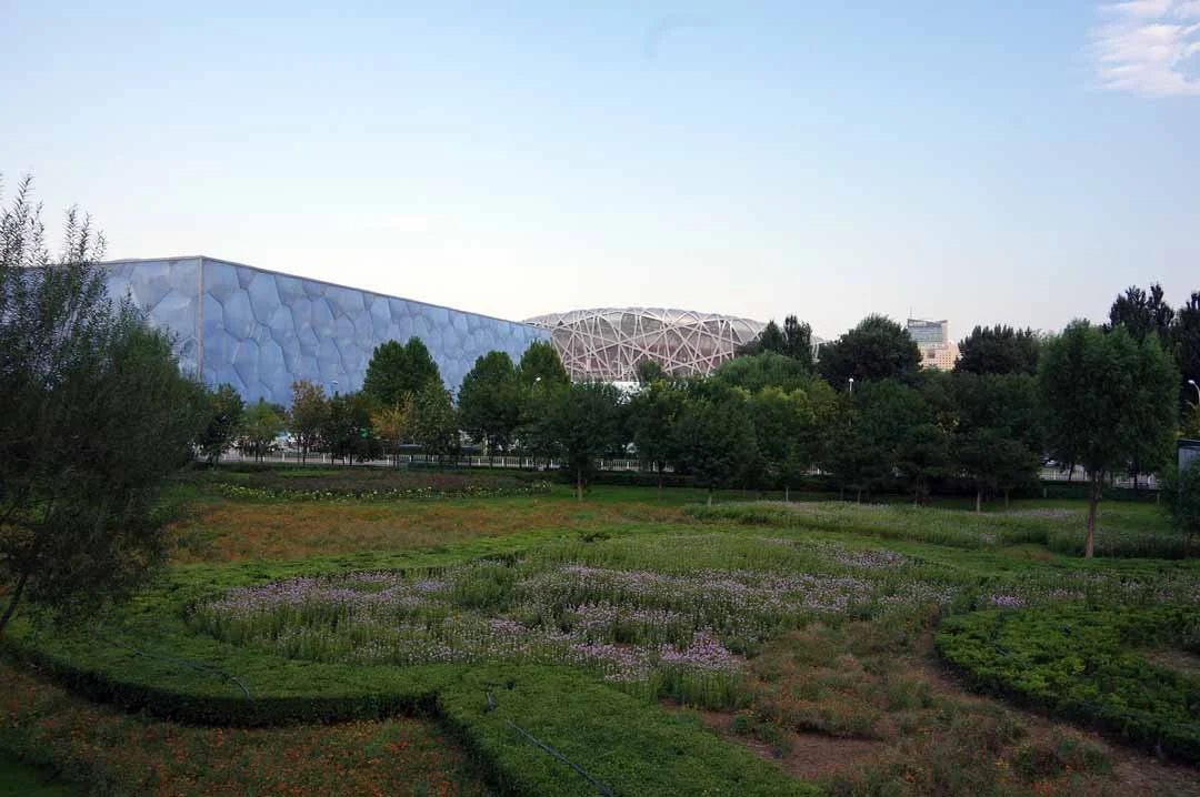 164.jpg