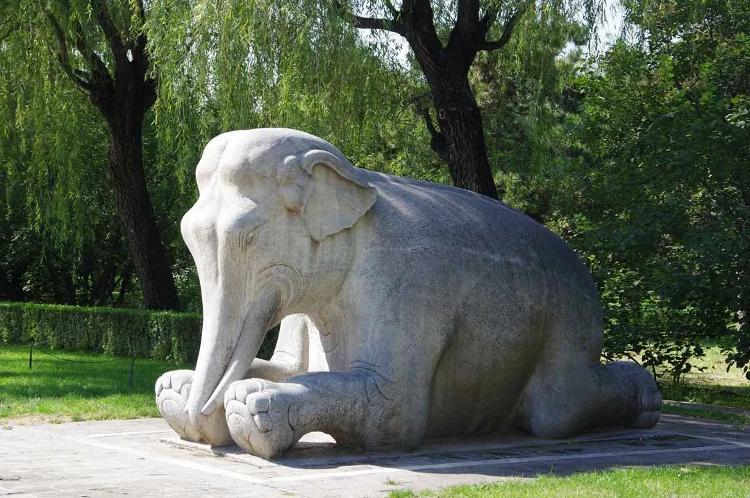 191.jpg