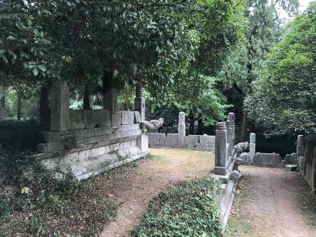 103.jpg