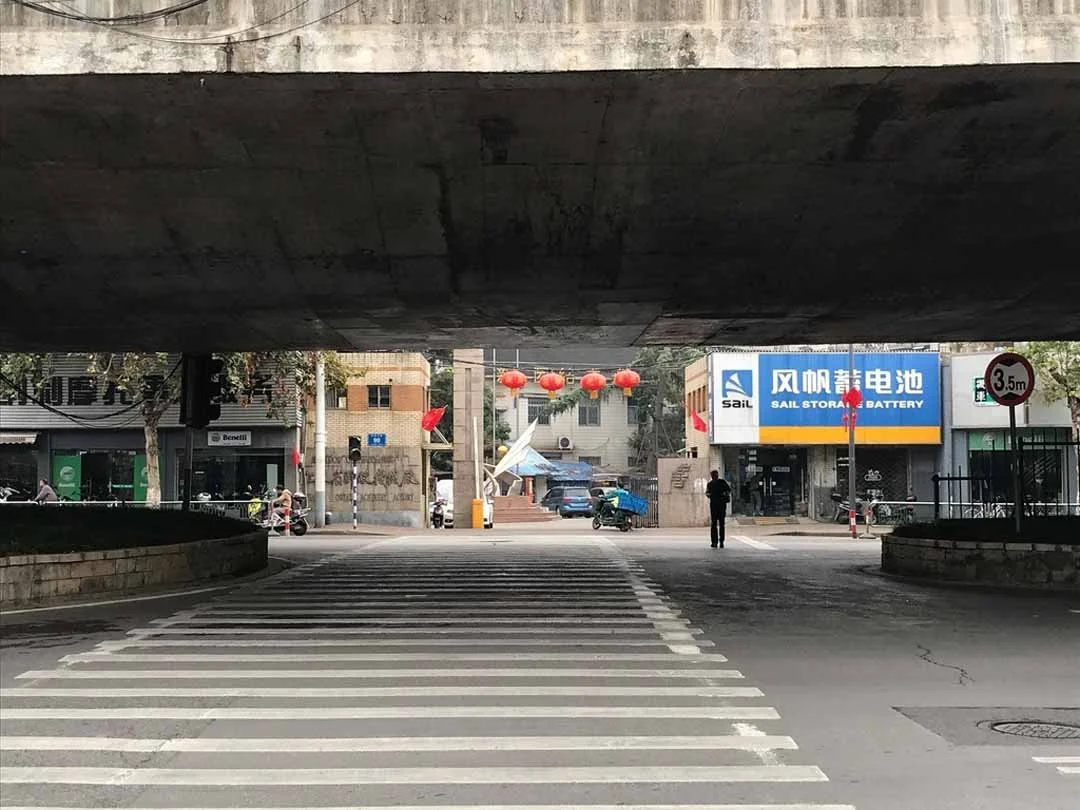 161.jpg