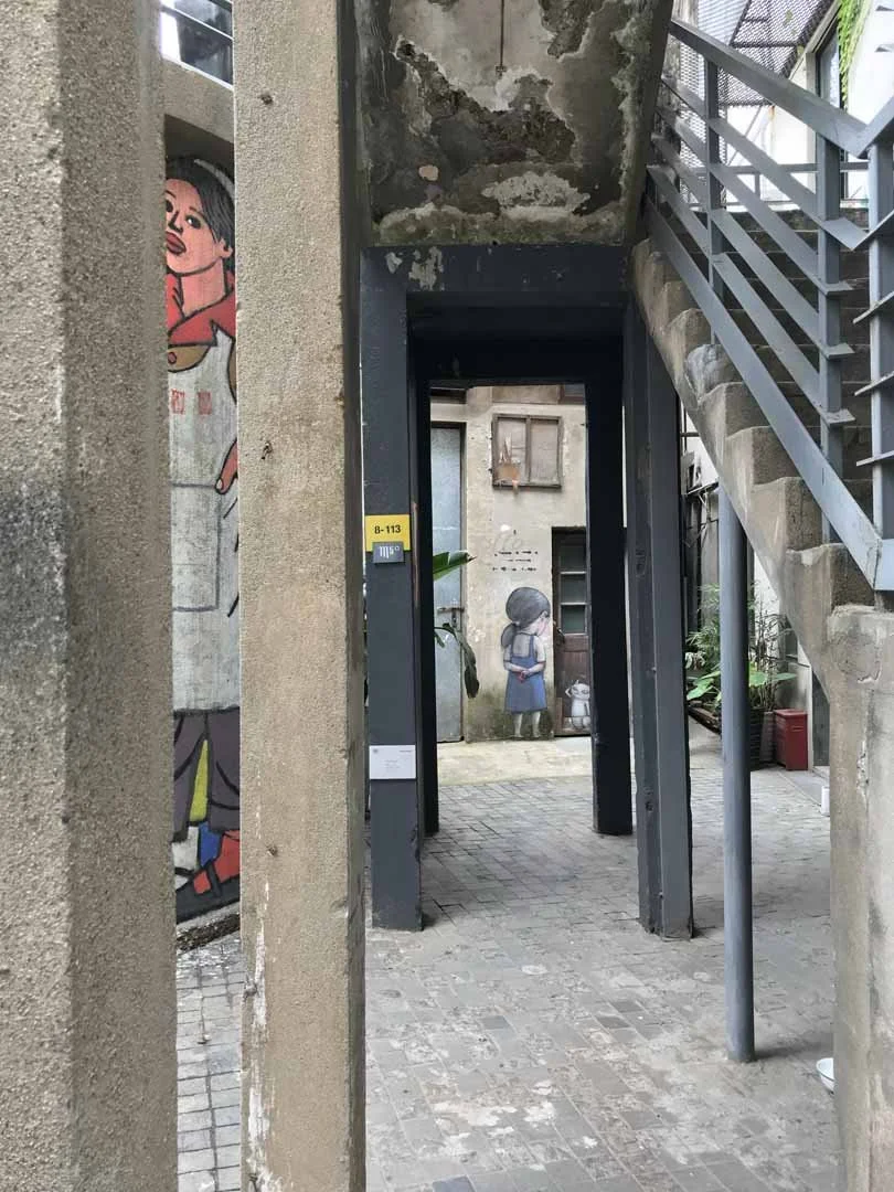 293.jpg