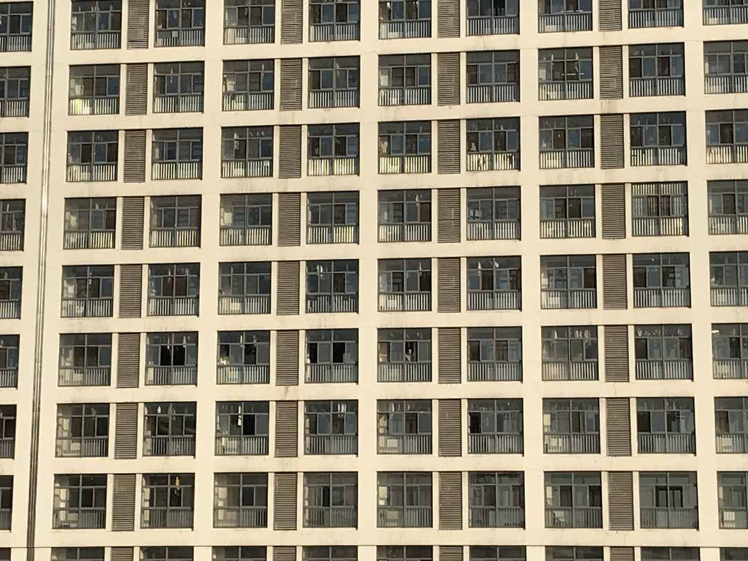 313.jpg
