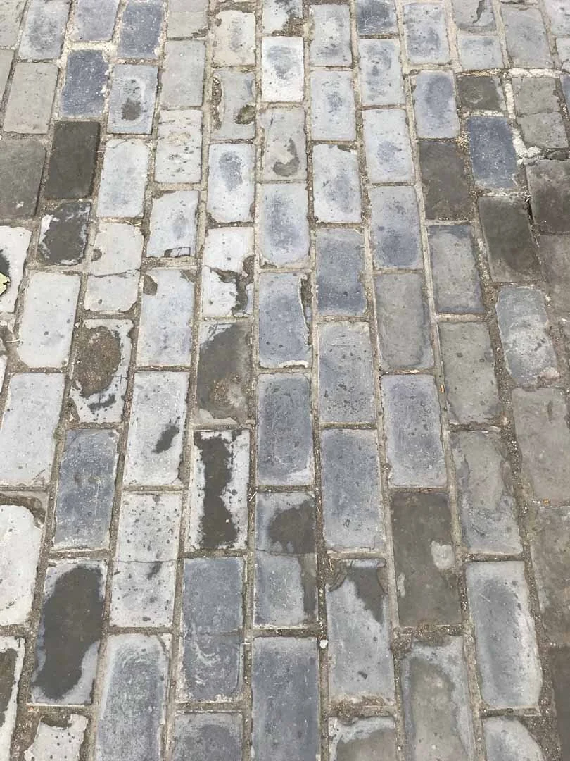 371.jpg