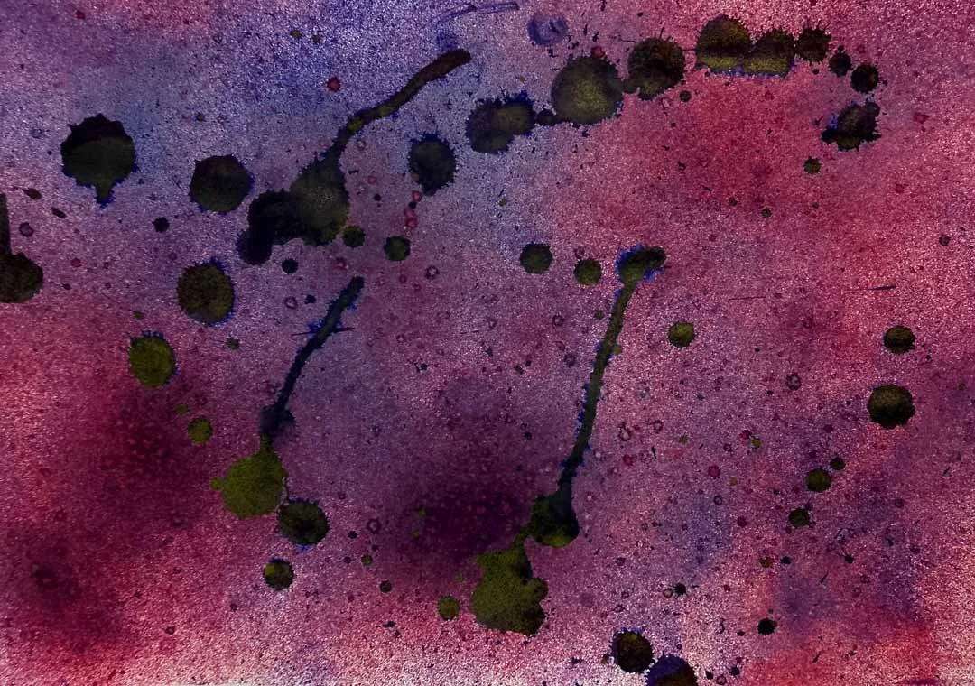 r5.jpg