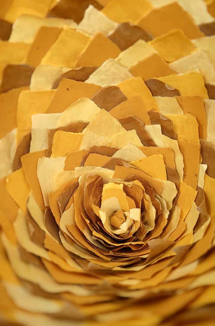 FlowerNest2.jpg