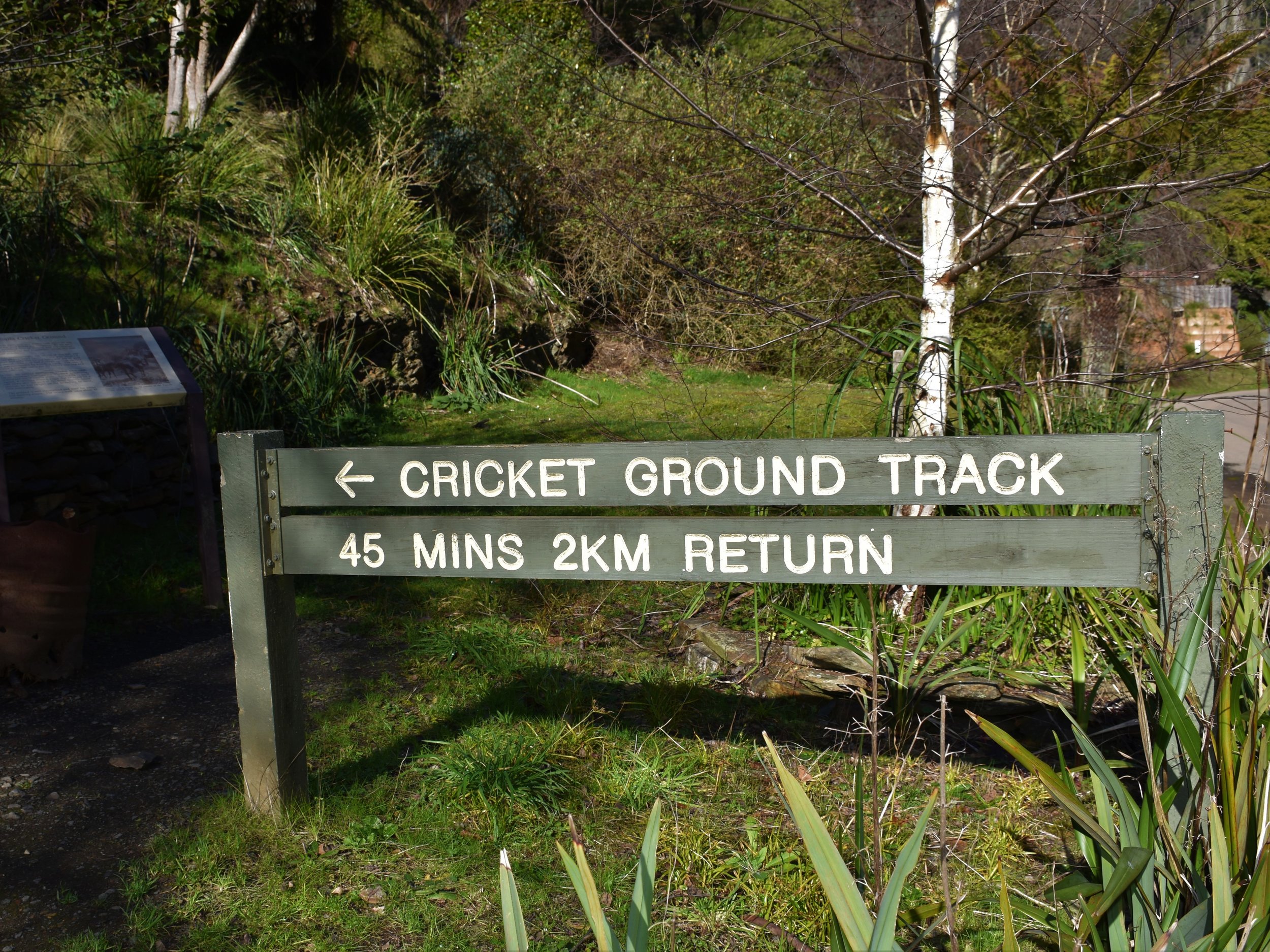 Cricket ground signage enhanced.jpg