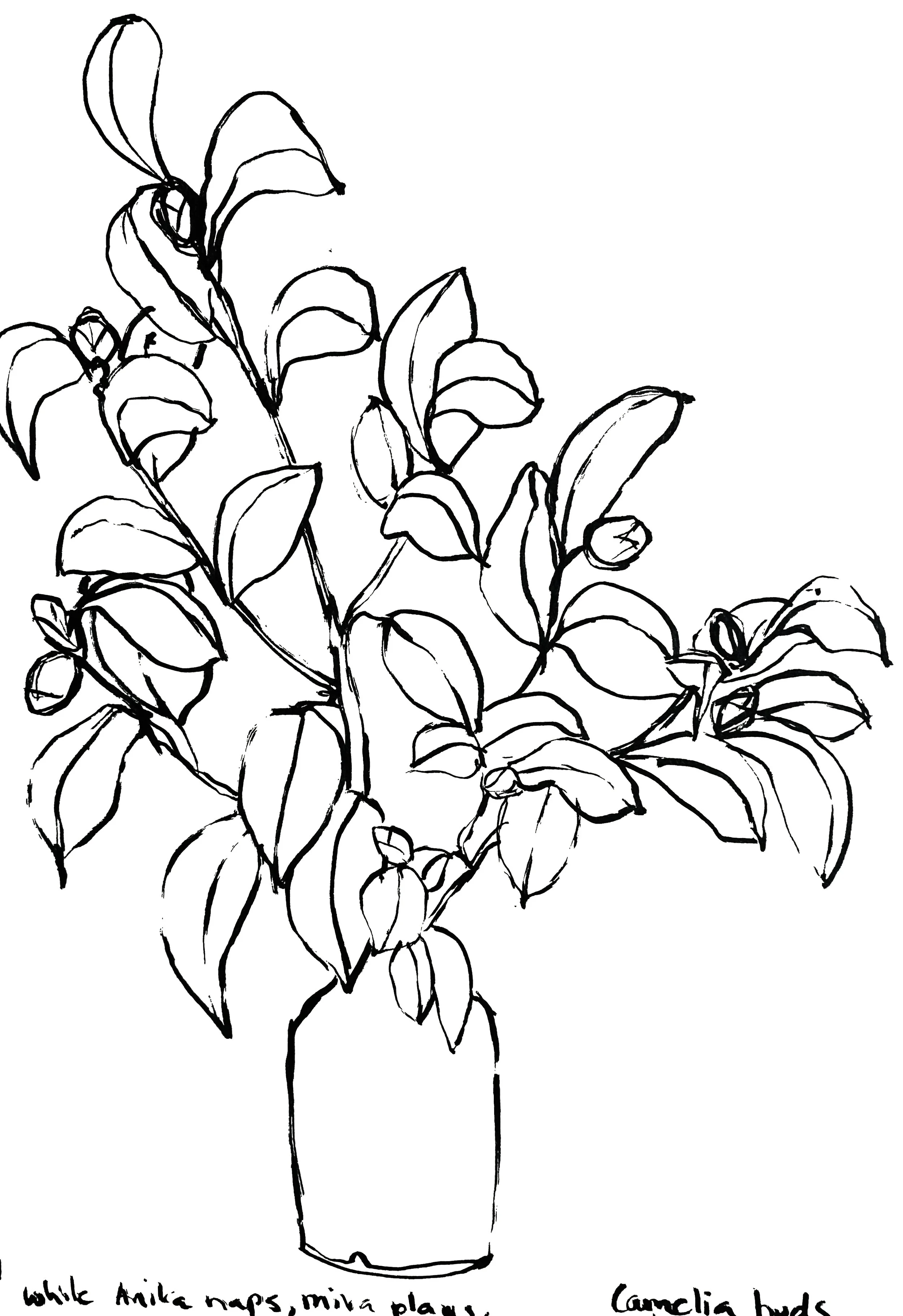 IMG-3664_modified.jpg