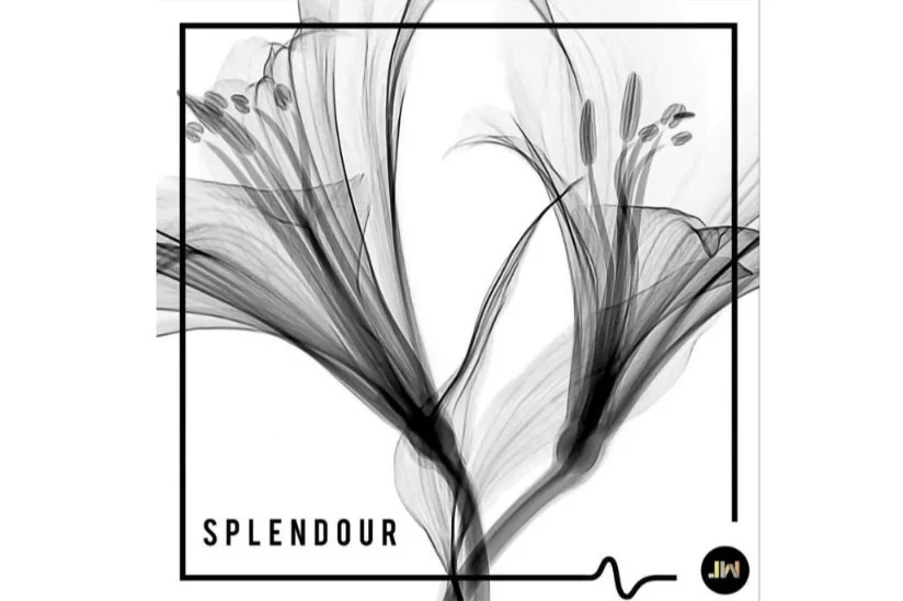 "Splendour" (JW2313) Production Music Album Release