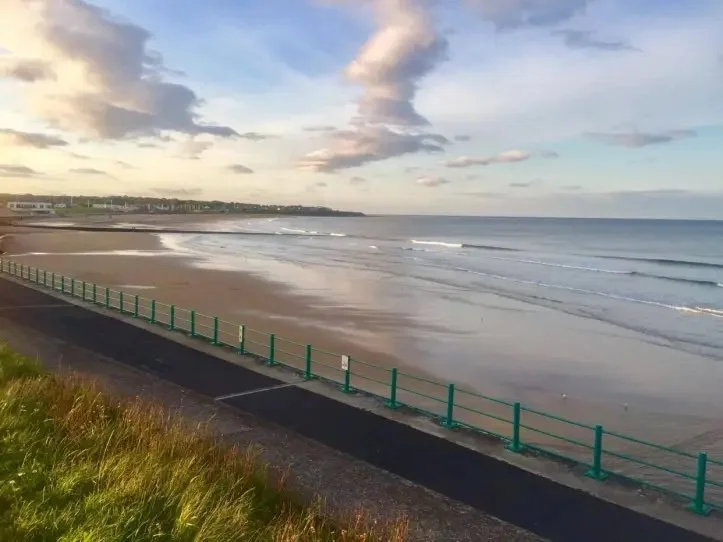 The North East is making waves in ocean conservation