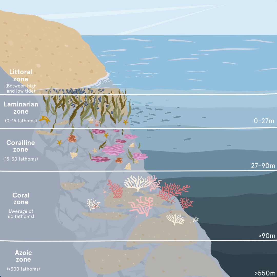 Pool Geography Example Shallow Pool Theory