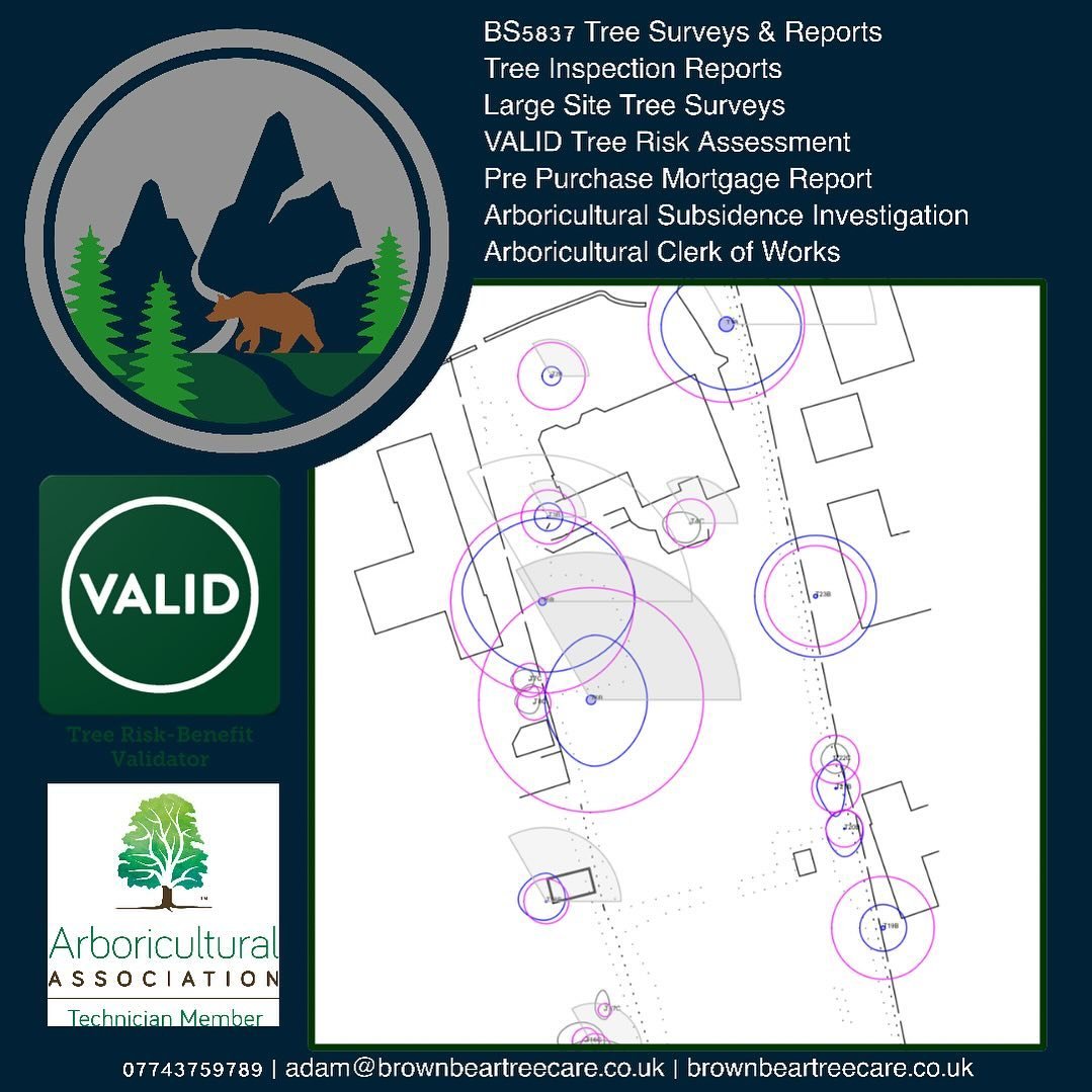 Planning a self-build project? 🏡🌳

Don&rsquo;t forget to consider the trees on or near your site before applying for planning permission. Waiting until after submission can lead to delays when the local planning authority requests a tree survey to 