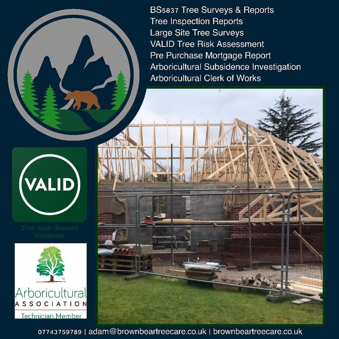 🌳 Protect Your Trees During Development with Professional Supervision!🌳

Are you planning a development project that involves work in root protection zones? Ensuring the safety of your retained trees is crucial. At Brown Bear Tree Care Ltd, we offe