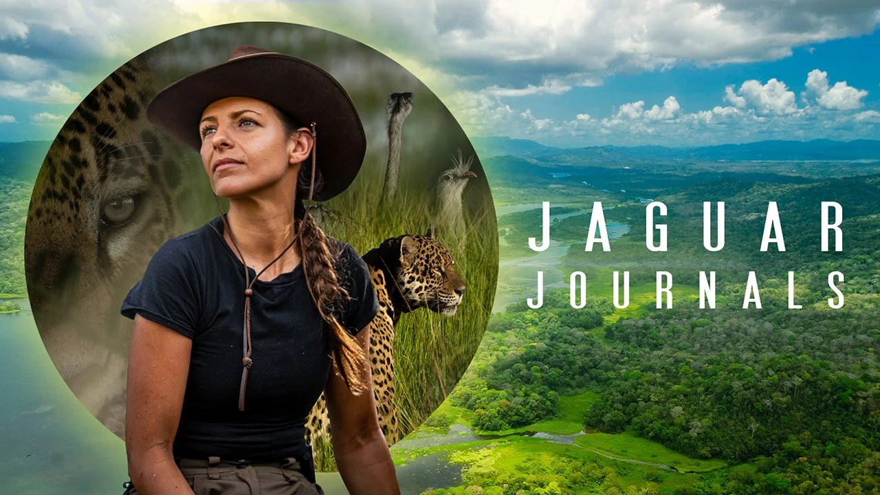 Jaguar Journals With Lizzie Daly | Love Nature - Documentary Series