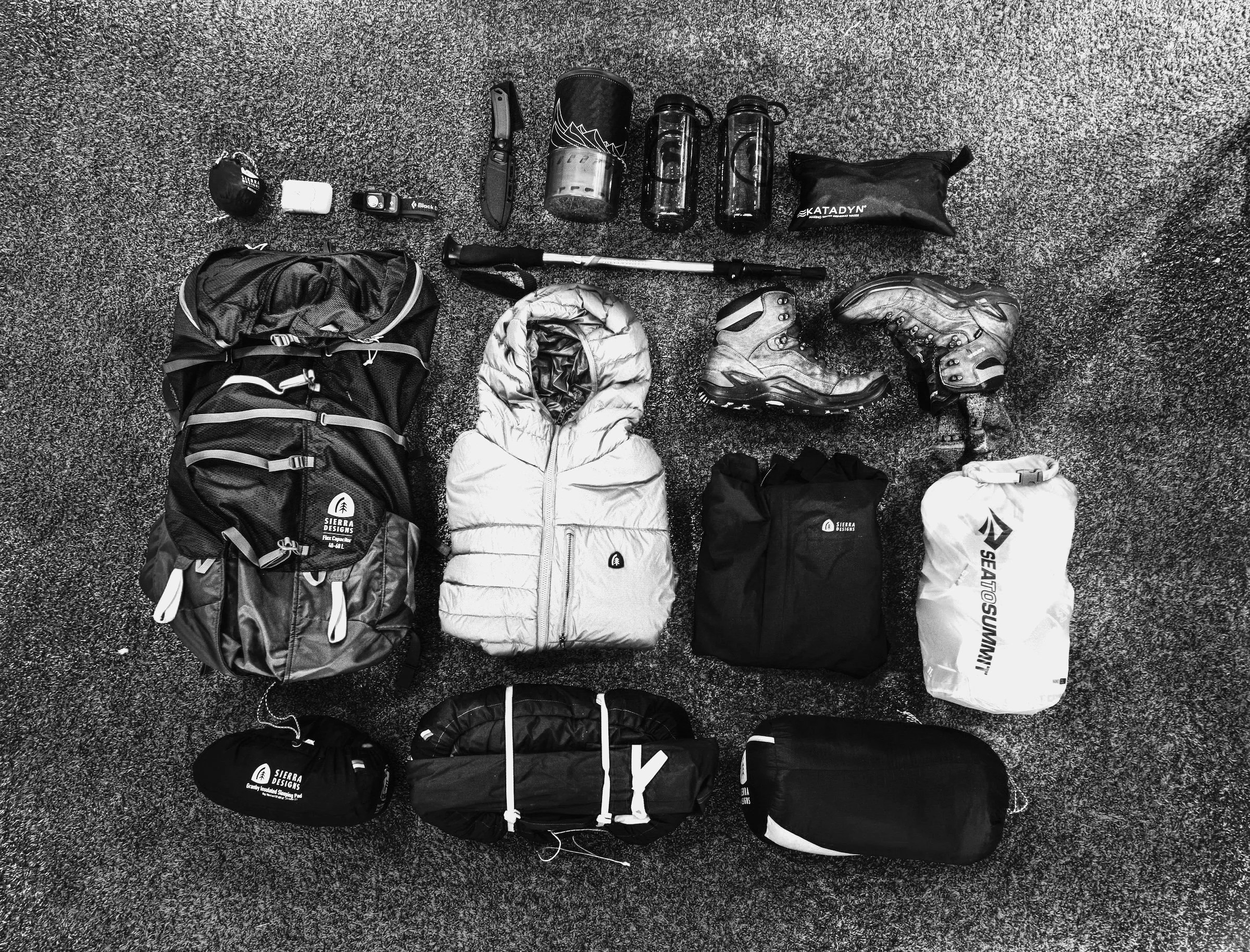 Flex Capacitor Backpack.jpg