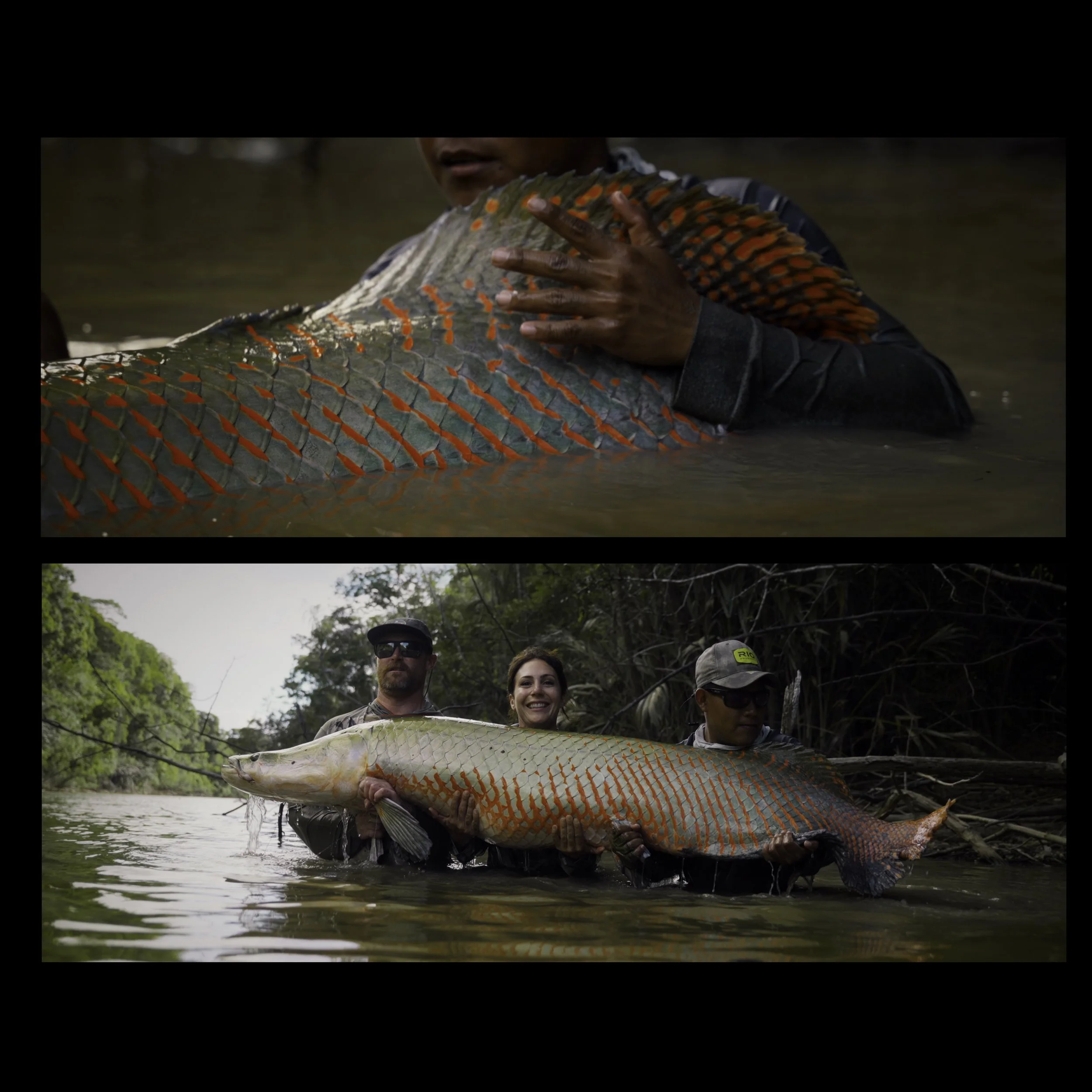 SP Screengrab 7.jpg