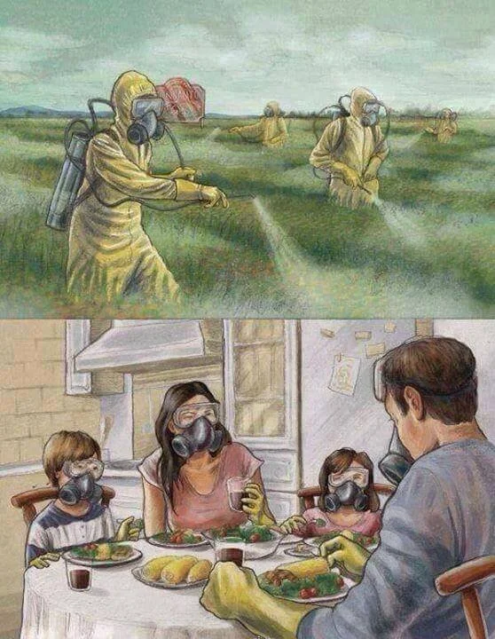 How to THRIVE In a Toxic World