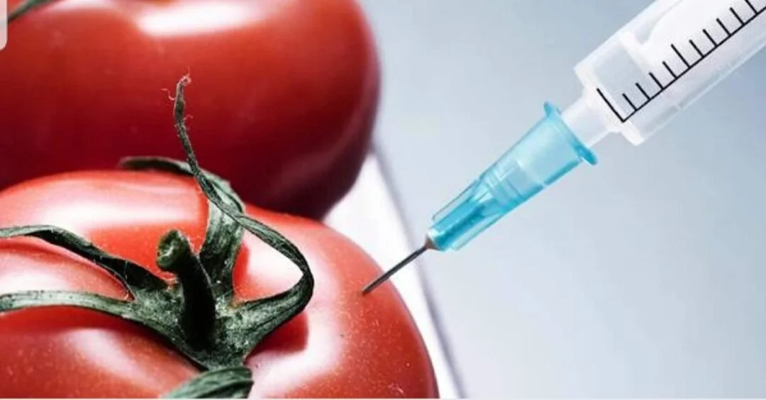 What if it is CHEMICALS, not CALORIES that are making you FAT!?