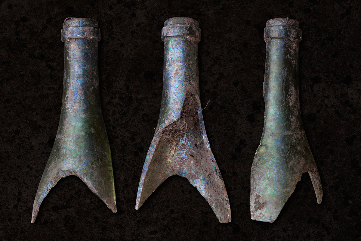 wine_bottle_patina_1200pxl.jpg