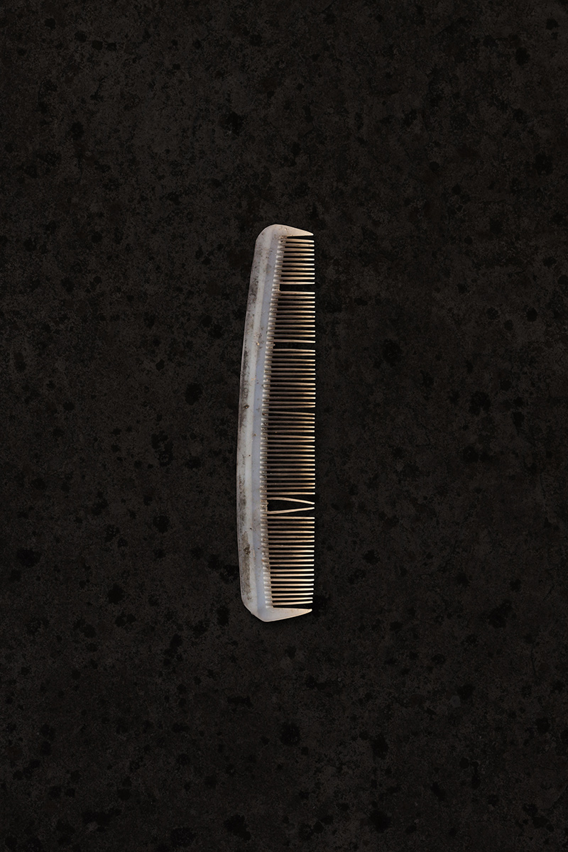 comb_1200pxl.jpg