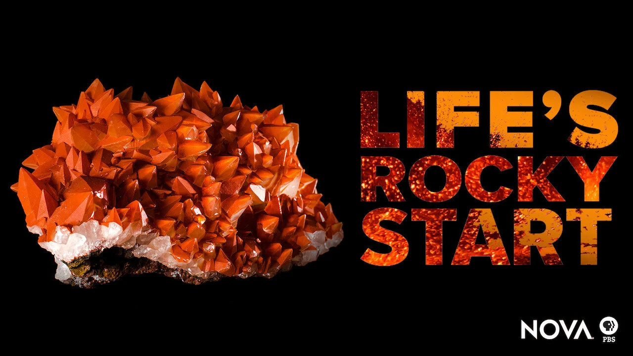 Life's Rocky Start