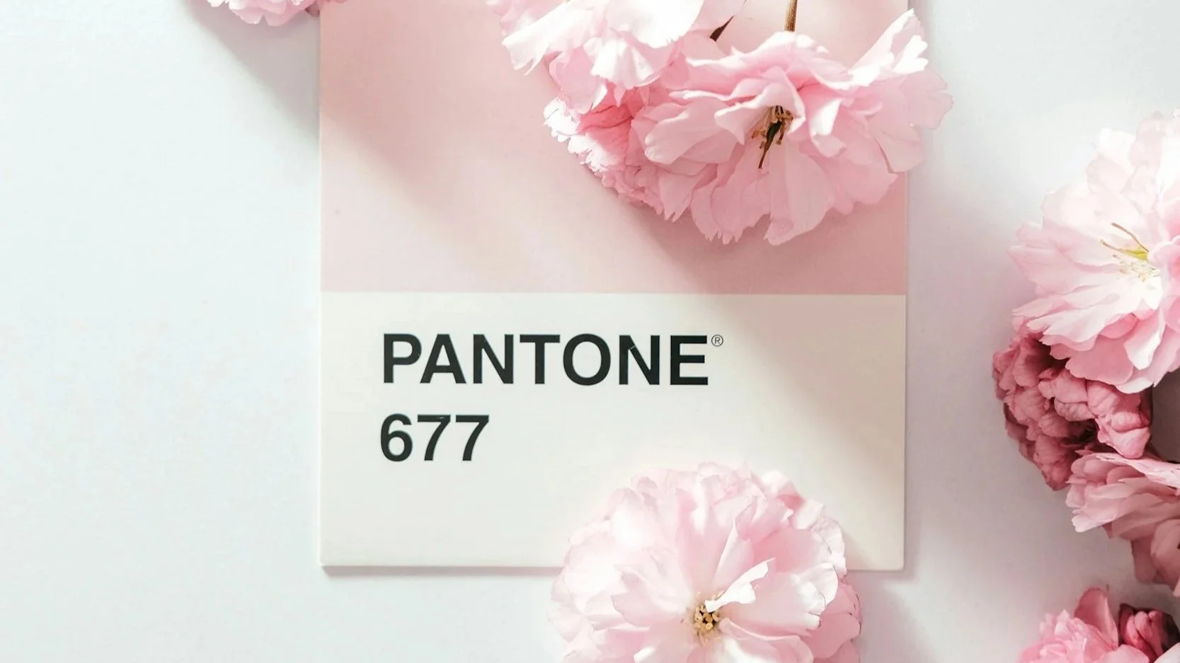 Experiment With Color This Spring